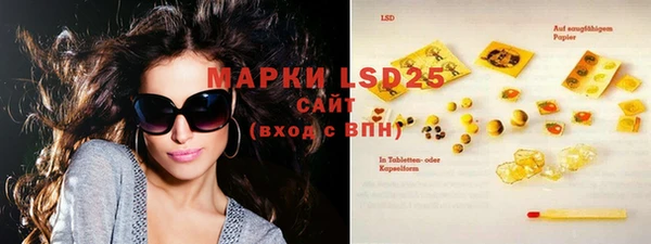 ГАЛЛЮЦИНОГЕННЫЕ ГРИБЫ Вяземский