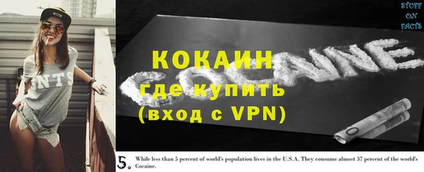 ГАЛЛЮЦИНОГЕННЫЕ ГРИБЫ Вяземский