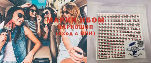 ГАЛЛЮЦИНОГЕННЫЕ ГРИБЫ Вяземский