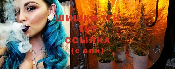 ГАЛЛЮЦИНОГЕННЫЕ ГРИБЫ Вяземский
