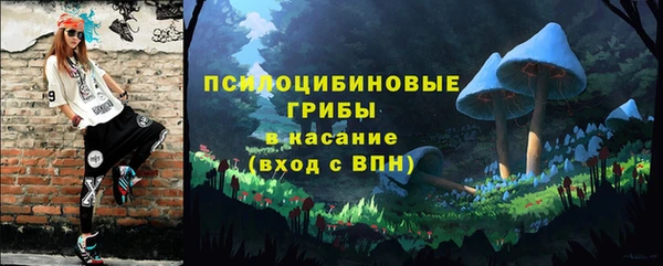 дживик Пересвет