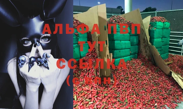 ГАЛЛЮЦИНОГЕННЫЕ ГРИБЫ Вяземский